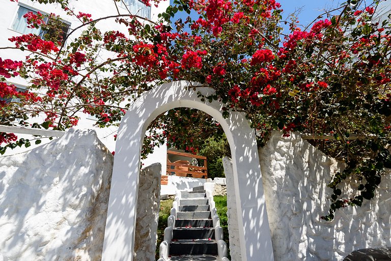 Um charme! Suíte com vista para o mar - Suíte VIP